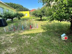 IMG 1296 IMG 1296